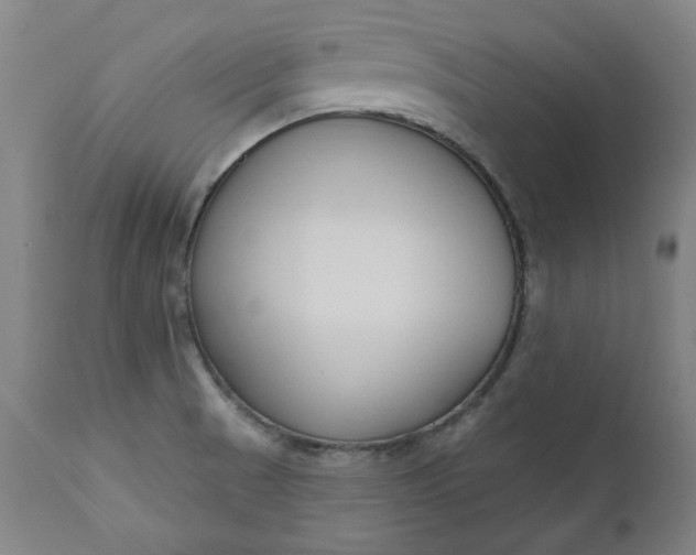 X0000111171521200907151246