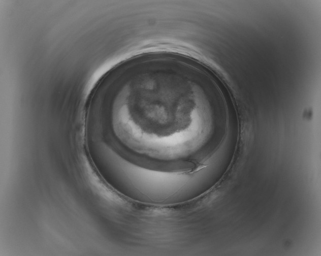 X0000111171522200907151246