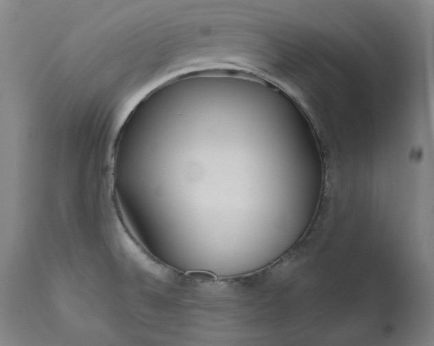 X0000111171524200907151246