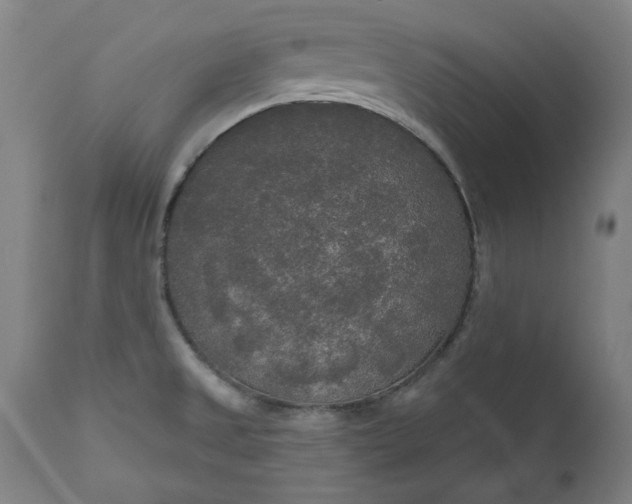 X0000111171525200907151246