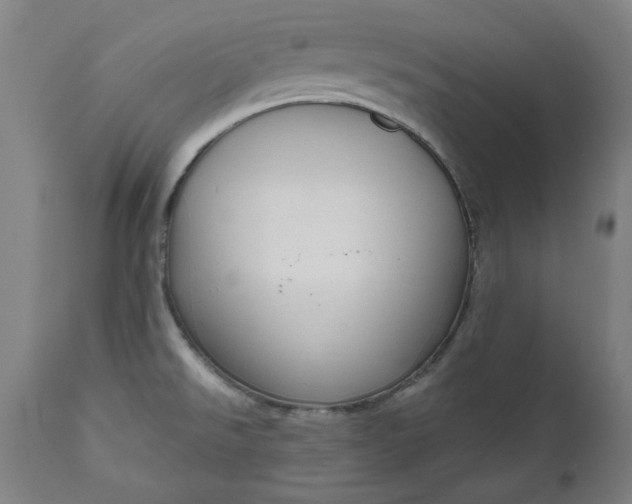 X0000111171526200907151246