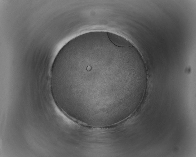 X0000111171527200907151246