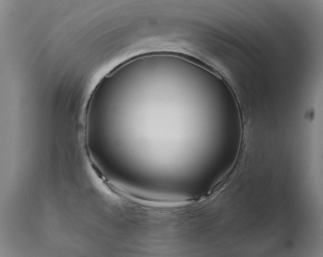 X0000111171528200907151246