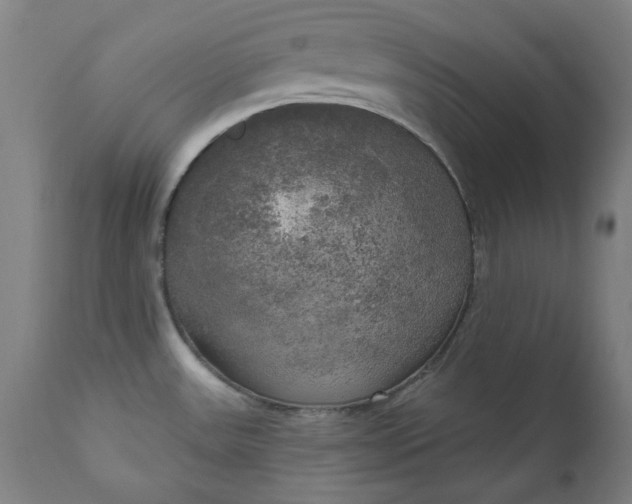 X0000111171531200907151246