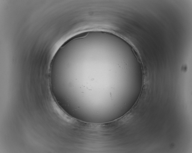 X0000111171532200907151246