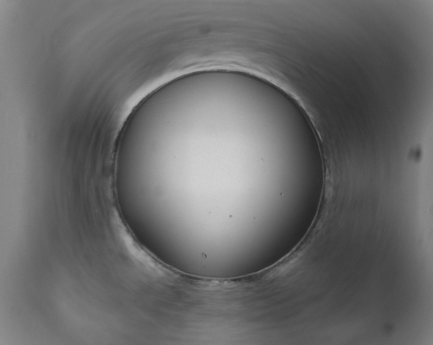 X0000111171534200907151246