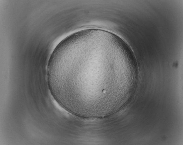 X0000111171535200907151246