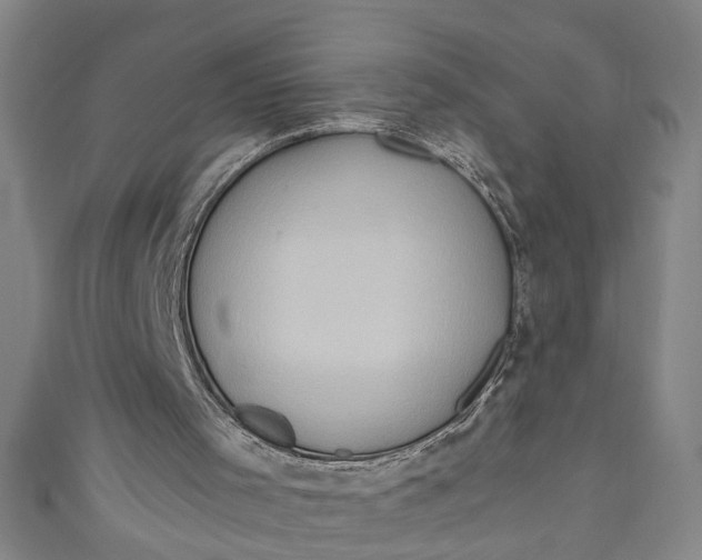 X0000111170001200907221037