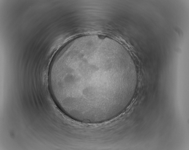 X0000111170002200907221037