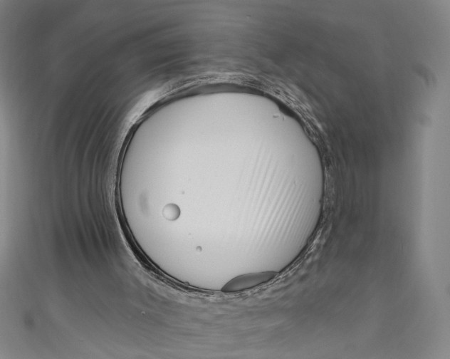 X0000111170003200907221037