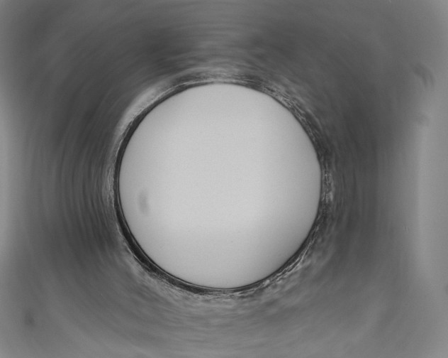 X0000111170004200907221037