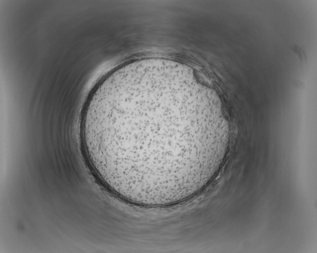 X0000111170006200907221037