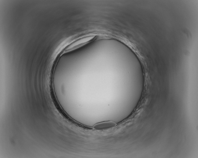 X0000111170007200907221037