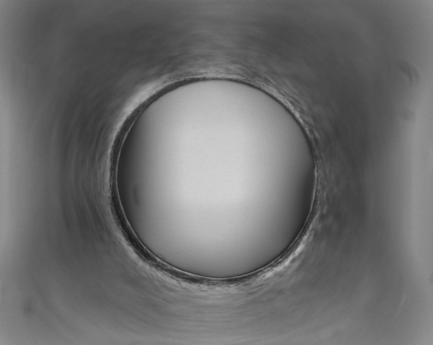 X0000111170008200907221037