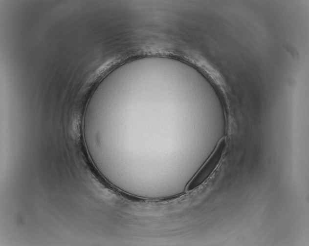 X0000111170009200907221037