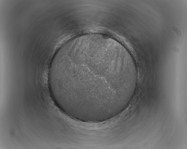 X0000111170010200907221037