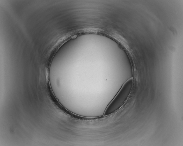 X0000111170013200907221037