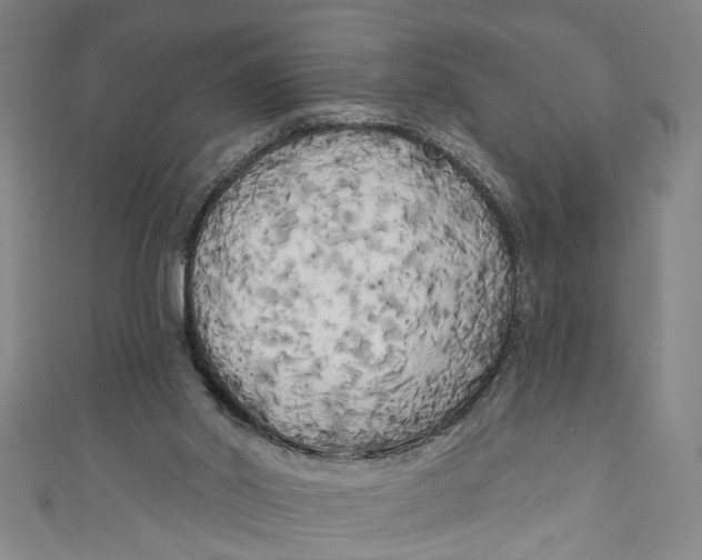 X0000111170014200907221037