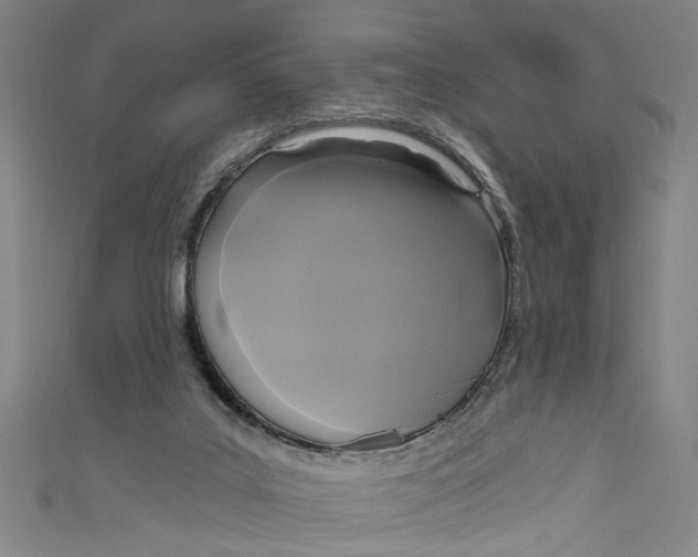 X0000111170019200907221037