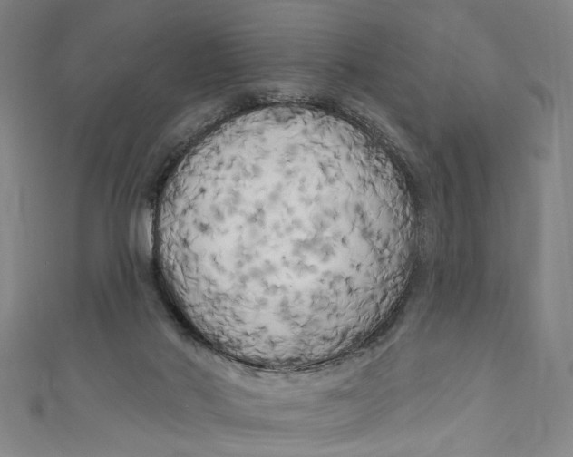 X0000111170022200907221037