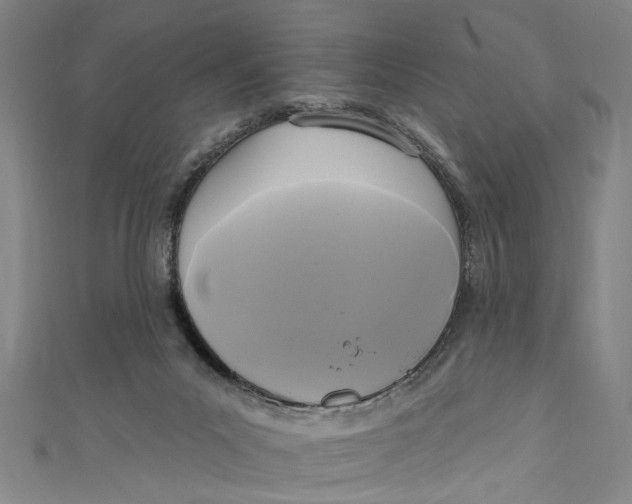 X0000111170023200907221037