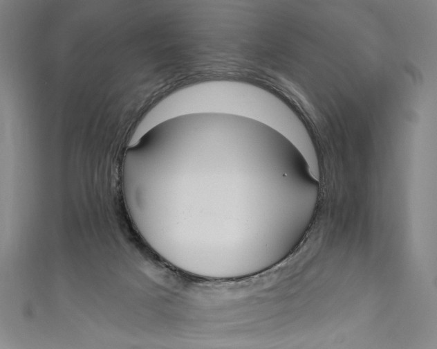 X0000111170025200907221037