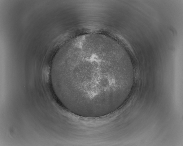 X0000111170026200907221037