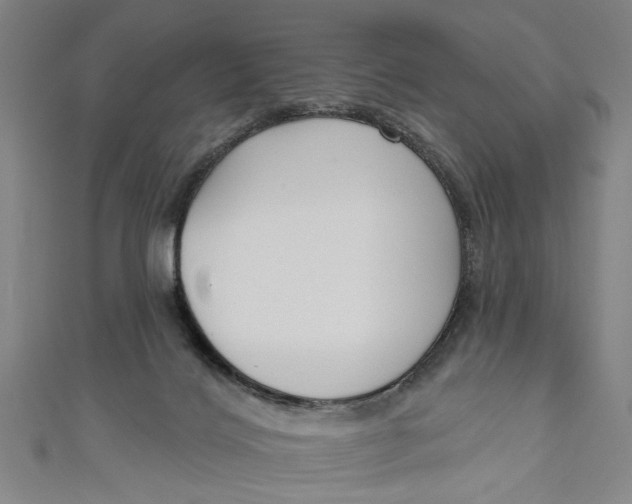 X0000111170028200907221037