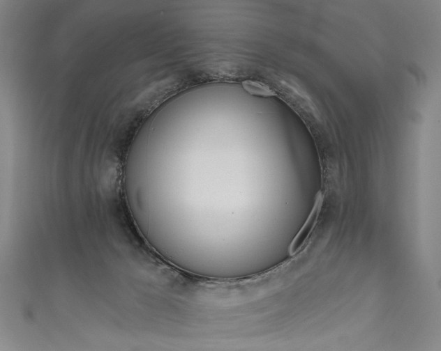 X0000111170029200907221037