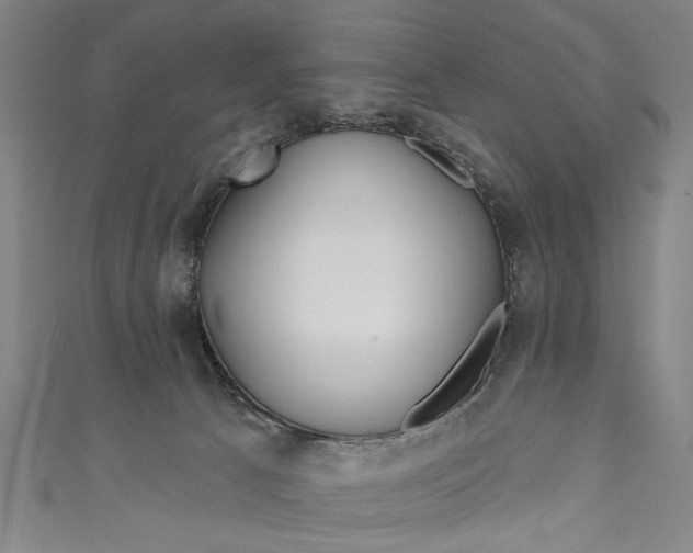 X0000111170033200907221037