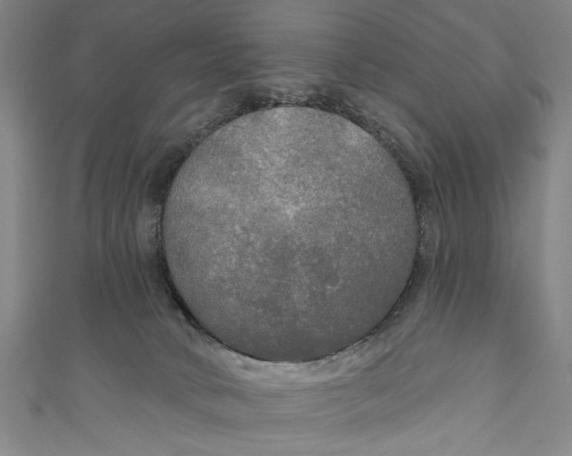 X0000111170034200907221037