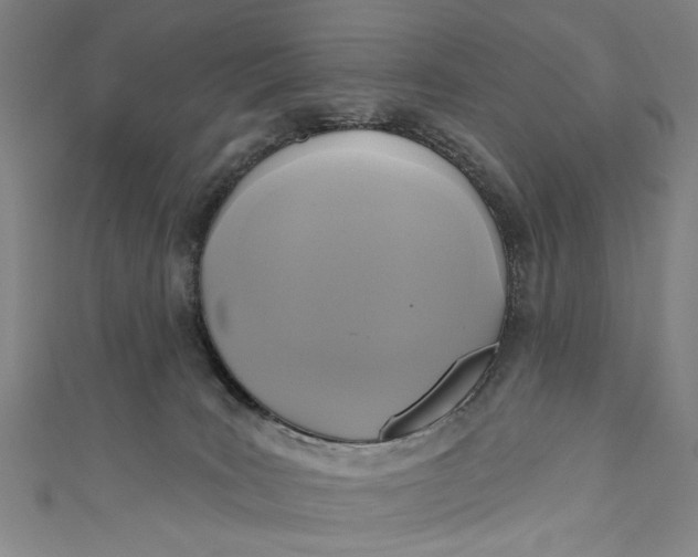 X0000111170035200907221037