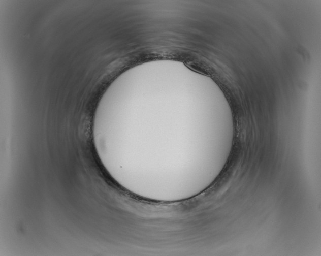 X0000111170036200907221037