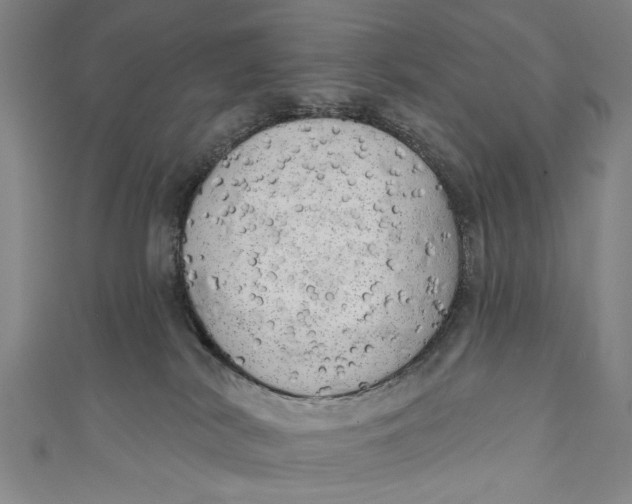 X0000111170038200907221037