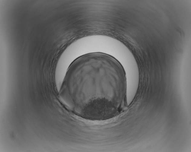 X0000111170039200907221037