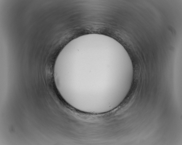 X0000111170040200907221037