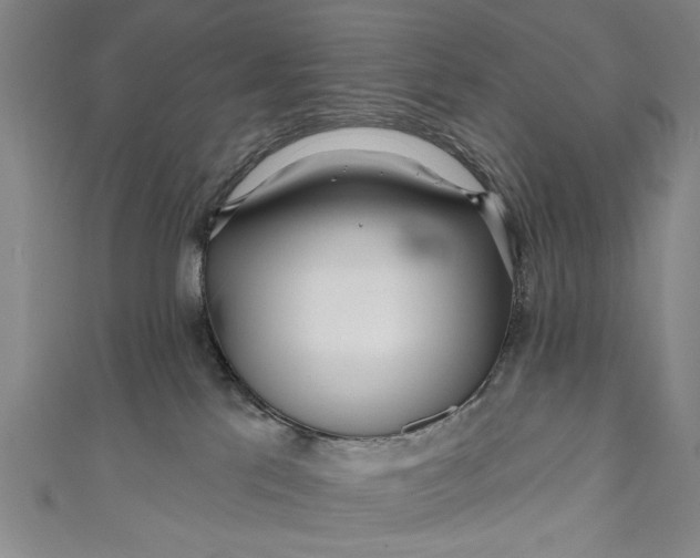 X0000111170041200907221037