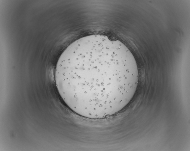 X0000111170042200907221037