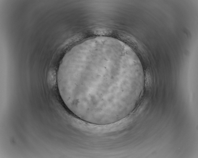 X0000111170043200907221037