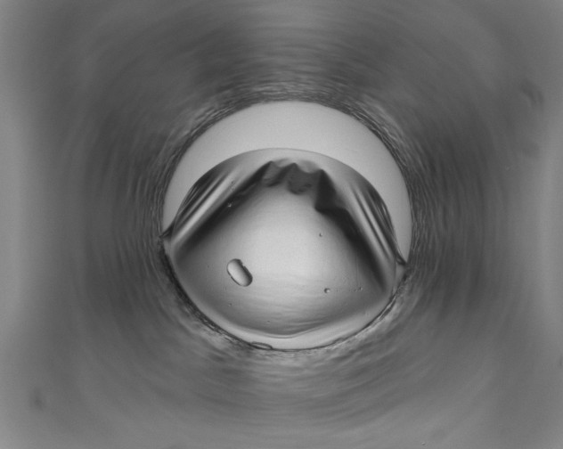 X0000111170045200907221037