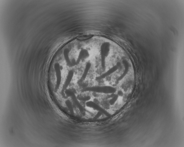 X0000111170049200907221036