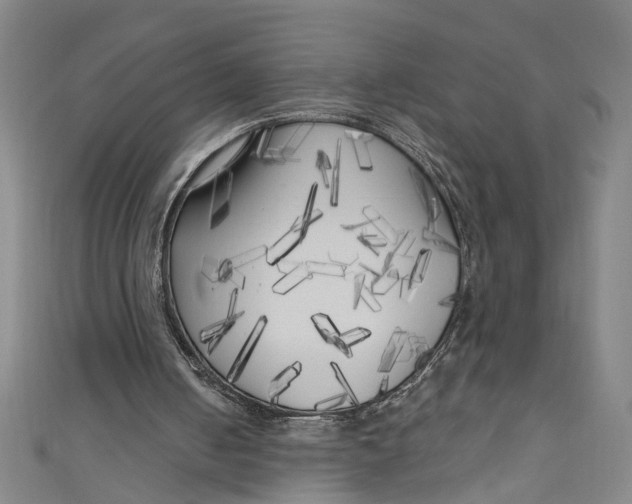 X0000111170050200907221036