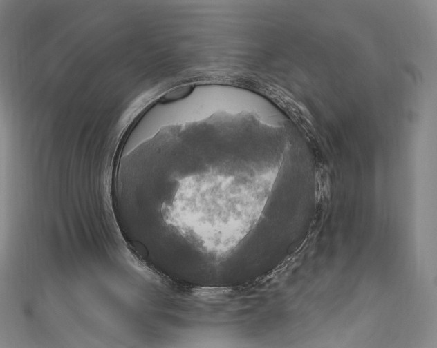 X0000111170051200907221036