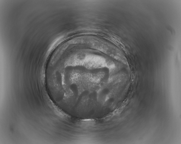 X0000111170053200907221036