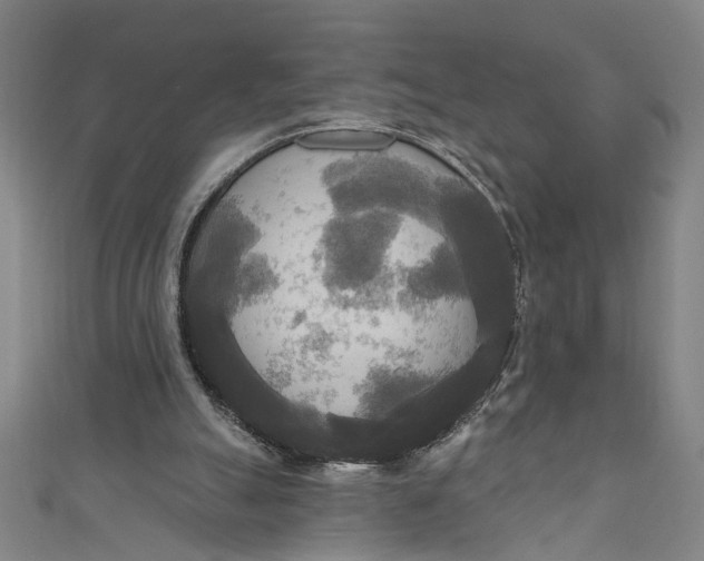 X0000111170055200907221036