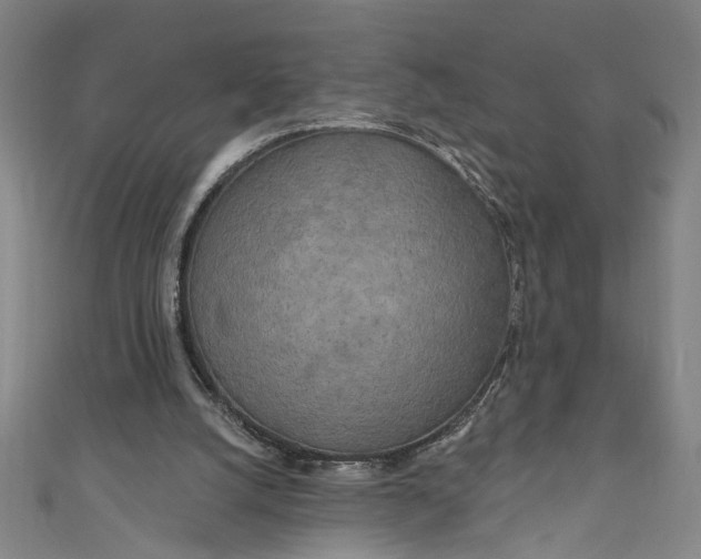 X0000111170056200907221036