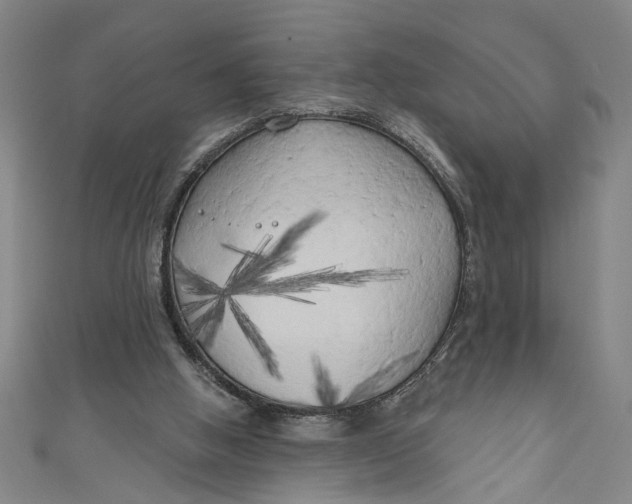 X0000111170058200907221036