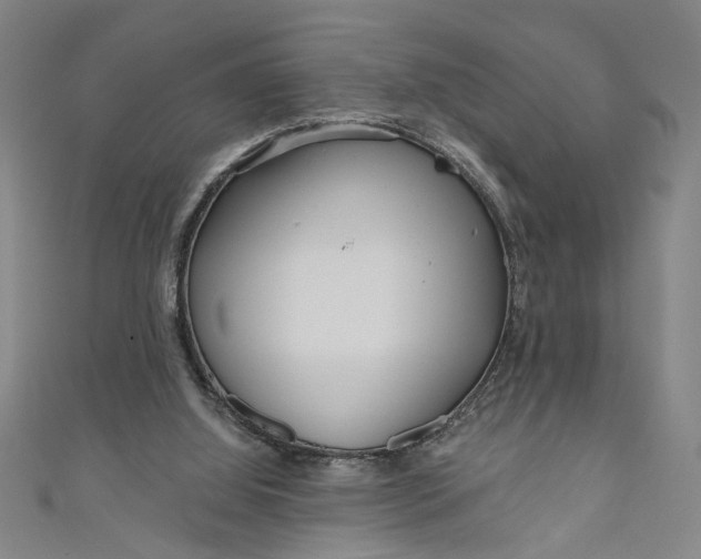 X0000111170060200907221036