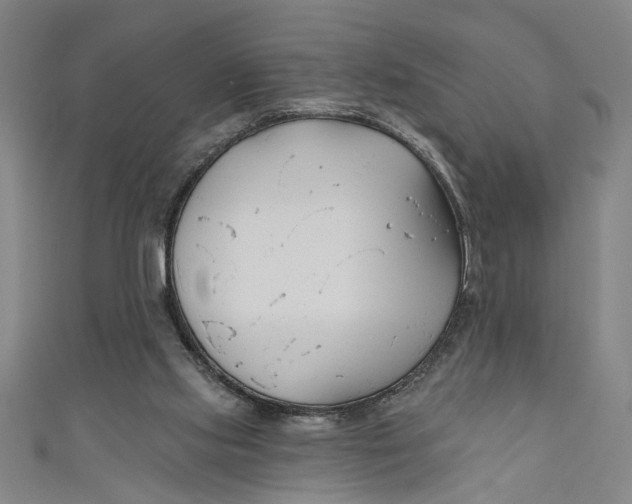 X0000111170061200907221036