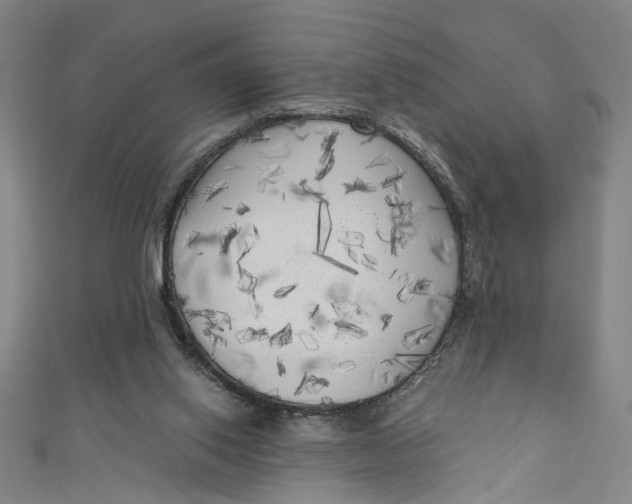 X0000111170062200907221036